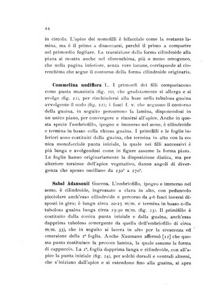 Archivio botanico pubblicato da Augusto Béguinot