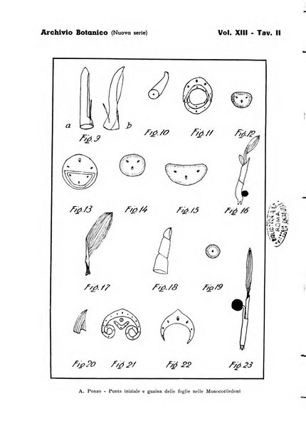 Archivio botanico pubblicato da Augusto Béguinot