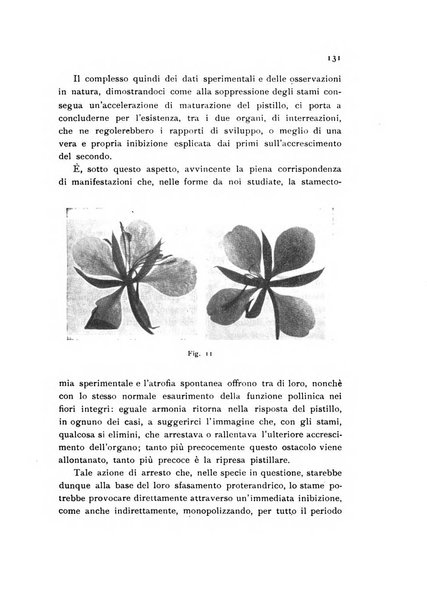 Archivio botanico pubblicato da Augusto Béguinot