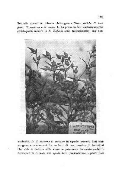 Archivio botanico pubblicato da Augusto Béguinot