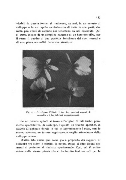 Archivio botanico pubblicato da Augusto Béguinot