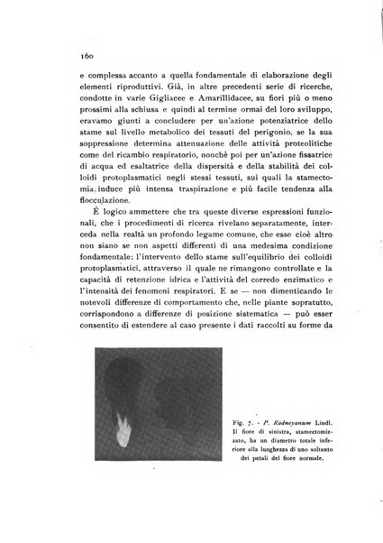 Archivio botanico pubblicato da Augusto Béguinot