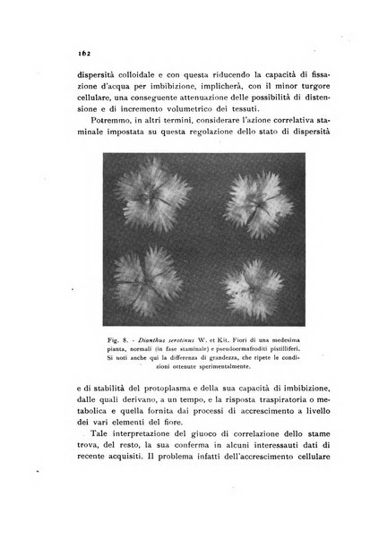 Archivio botanico pubblicato da Augusto Béguinot