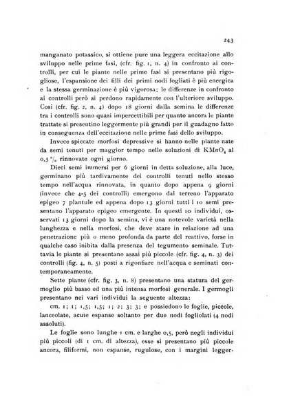 Archivio botanico pubblicato da Augusto Béguinot