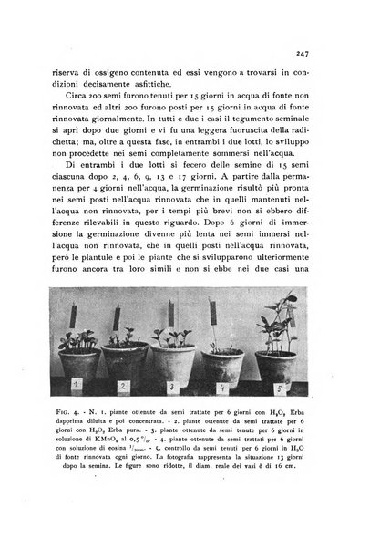 Archivio botanico pubblicato da Augusto Béguinot