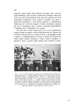 giornale/TO00177003/1937/unico/00000272