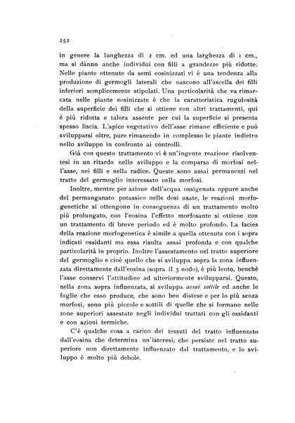 Archivio botanico pubblicato da Augusto Béguinot