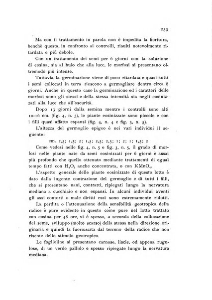 Archivio botanico pubblicato da Augusto Béguinot