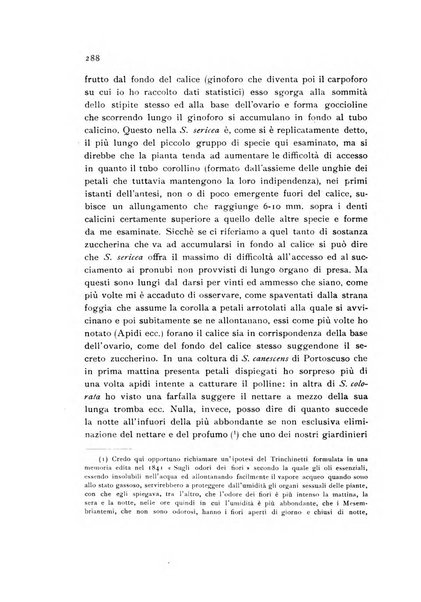 Archivio botanico pubblicato da Augusto Béguinot