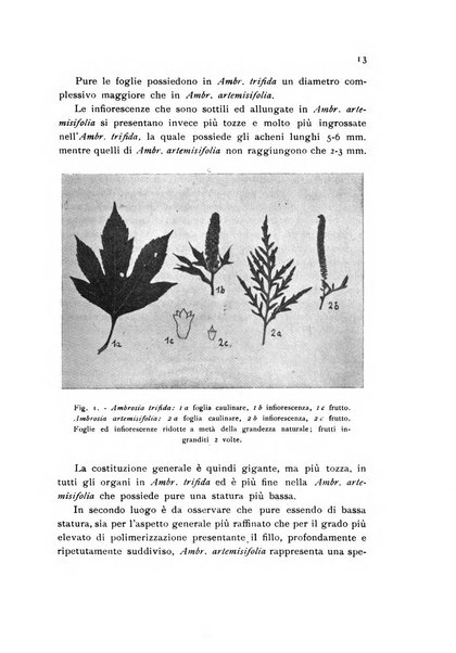 Archivio botanico pubblicato da Augusto Béguinot