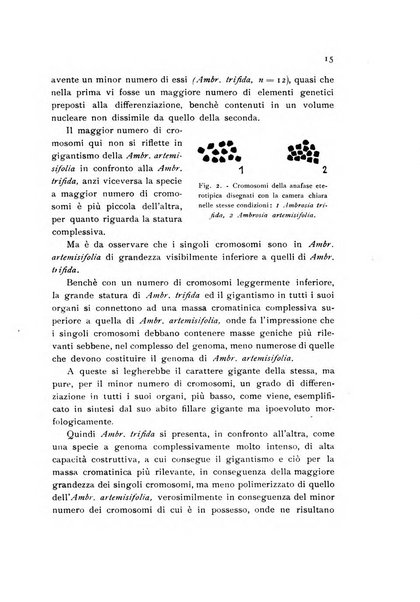 Archivio botanico pubblicato da Augusto Béguinot