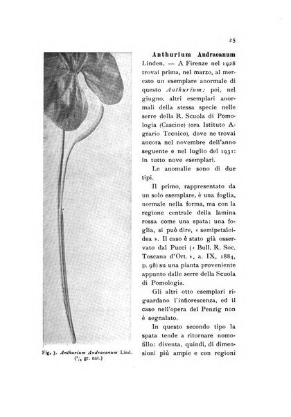 Archivio botanico pubblicato da Augusto Béguinot