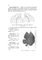 giornale/TO00177003/1938/unico/00000038