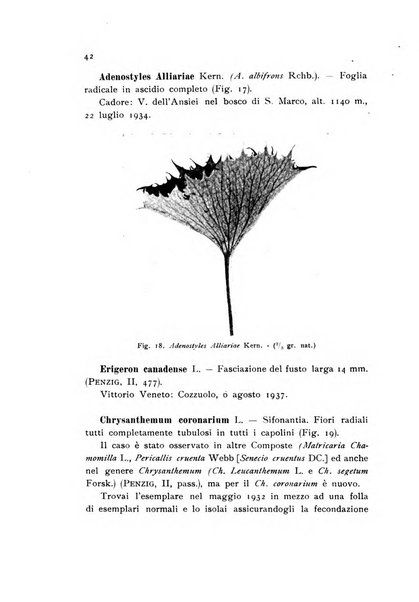 Archivio botanico pubblicato da Augusto Béguinot