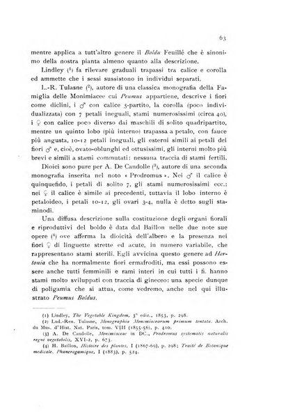 Archivio botanico pubblicato da Augusto Béguinot