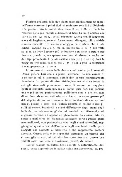 Archivio botanico pubblicato da Augusto Béguinot