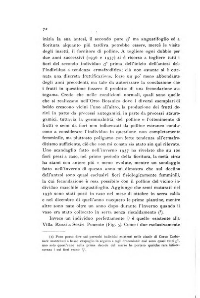 Archivio botanico pubblicato da Augusto Béguinot