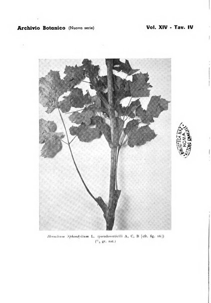 Archivio botanico pubblicato da Augusto Béguinot