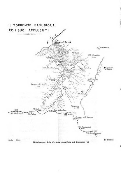 Archivio botanico pubblicato da Augusto Béguinot