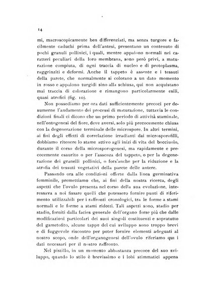 Archivio botanico pubblicato da Augusto Béguinot