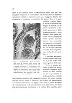 giornale/TO00177003/1939/unico/00000022