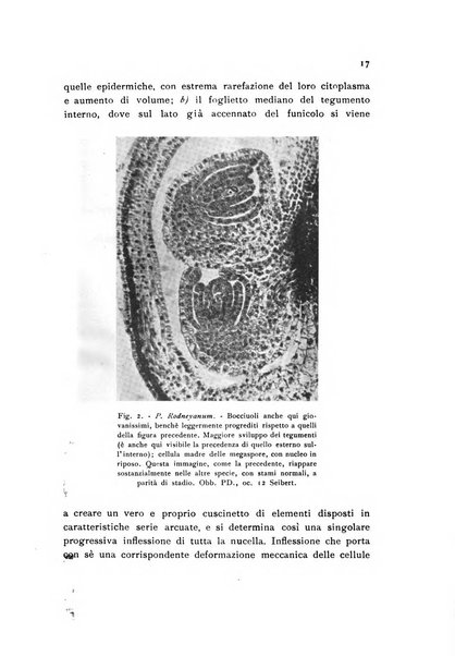 Archivio botanico pubblicato da Augusto Béguinot