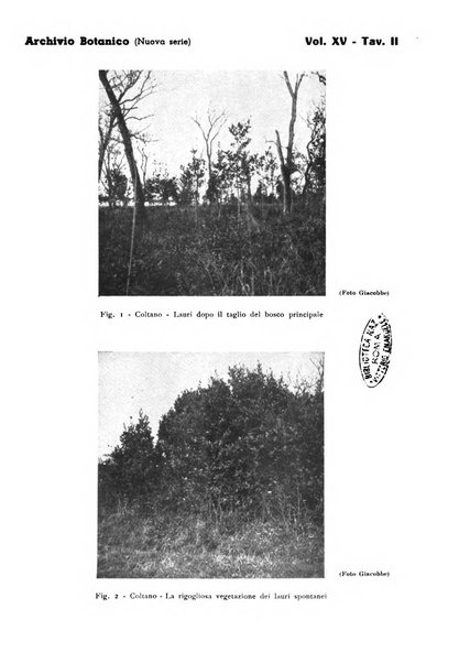 Archivio botanico pubblicato da Augusto Béguinot