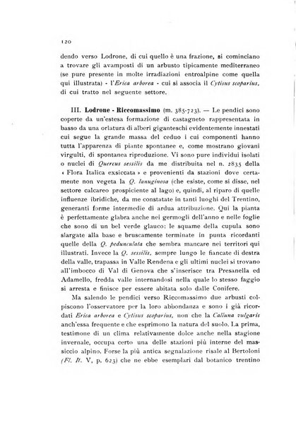 Archivio botanico pubblicato da Augusto Béguinot