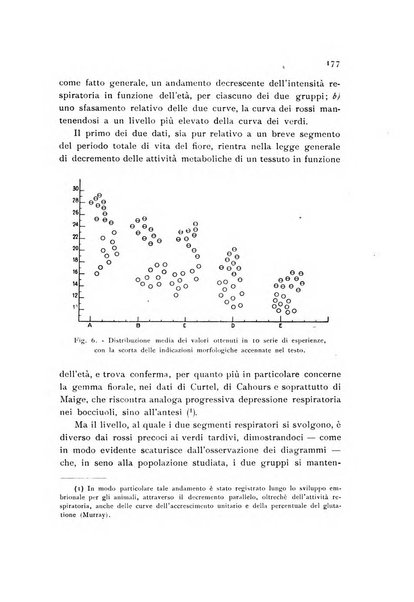 Archivio botanico pubblicato da Augusto Béguinot