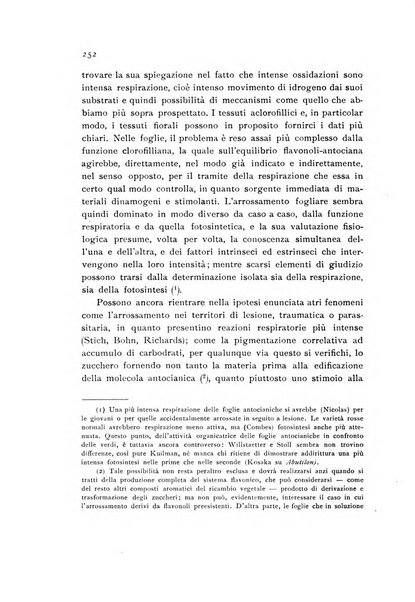 Archivio botanico pubblicato da Augusto Béguinot