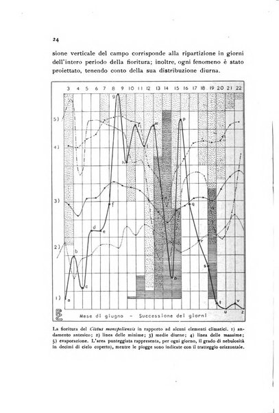 Archivio botanico pubblicato da Augusto Béguinot