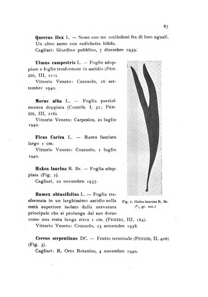 Archivio botanico pubblicato da Augusto Béguinot