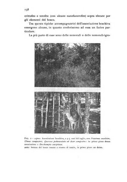 Archivio botanico pubblicato da Augusto Béguinot