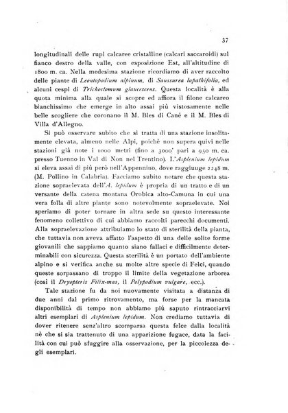 Archivio botanico pubblicato da Augusto Béguinot