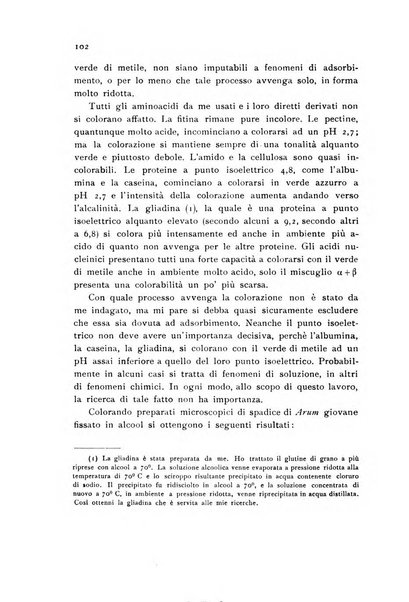 Archivio botanico pubblicato da Augusto Béguinot