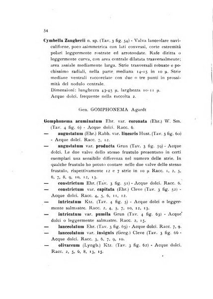 Archivio botanico pubblicato da Augusto Béguinot