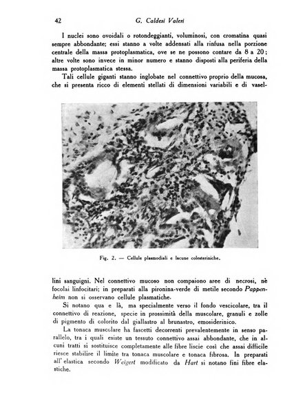 Archivio De Vecchi per l'anatomia patologica e la medicina clinica