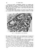 giornale/TO00177004/1939-1940/unico/00000054