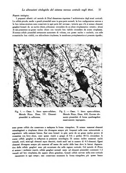 Archivio De Vecchi per l'anatomia patologica e la medicina clinica