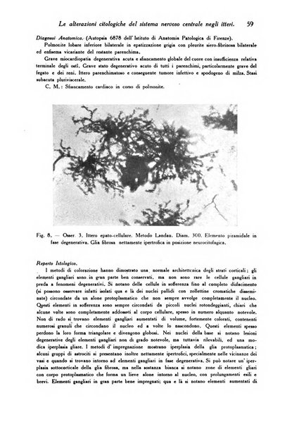 Archivio De Vecchi per l'anatomia patologica e la medicina clinica