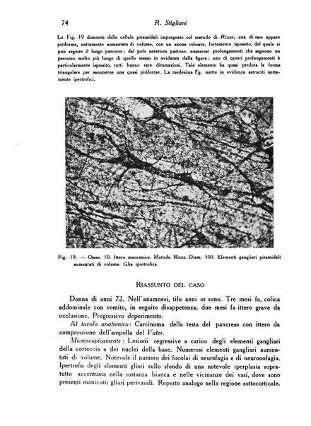 Archivio De Vecchi per l'anatomia patologica e la medicina clinica