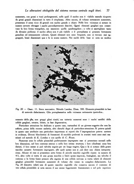 Archivio De Vecchi per l'anatomia patologica e la medicina clinica