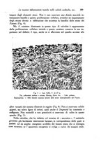 giornale/TO00177004/1939-1940/unico/00000403