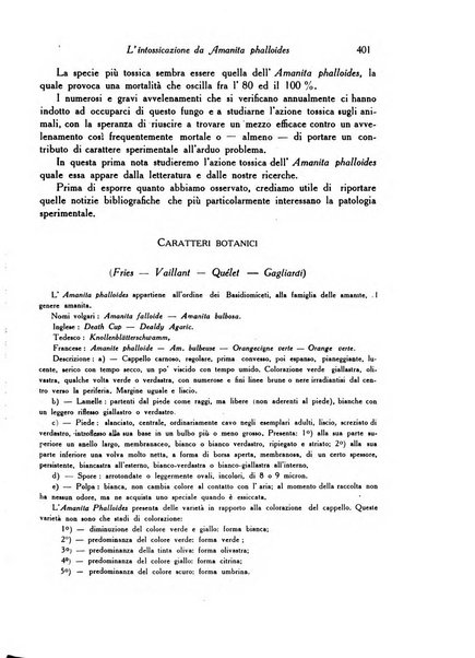 Archivio De Vecchi per l'anatomia patologica e la medicina clinica