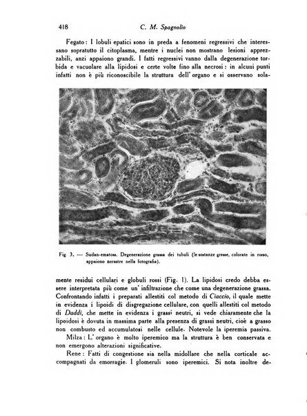 Archivio De Vecchi per l'anatomia patologica e la medicina clinica