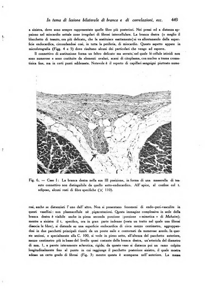 Archivio De Vecchi per l'anatomia patologica e la medicina clinica