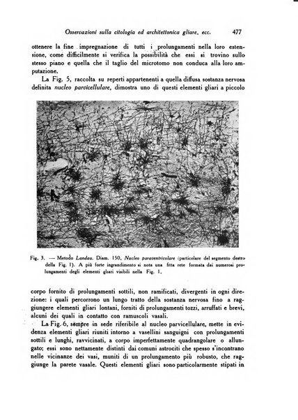 Archivio De Vecchi per l'anatomia patologica e la medicina clinica