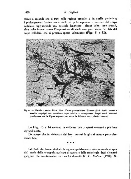 Archivio De Vecchi per l'anatomia patologica e la medicina clinica