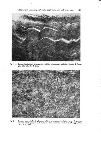 Archivio De Vecchi per l'anatomia patologica e la medicina clinica