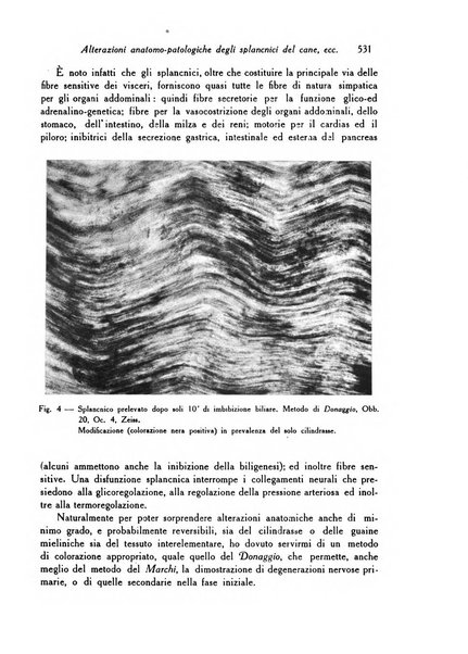 Archivio De Vecchi per l'anatomia patologica e la medicina clinica